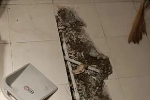 双桥卫生间漏水检测电话
